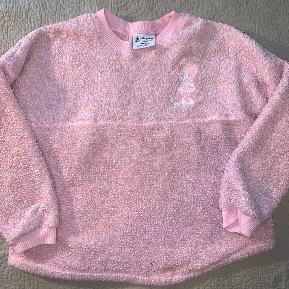 Disney parks spirit jersey